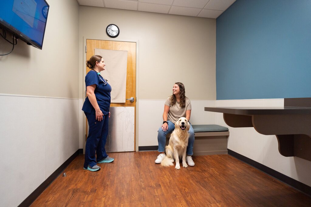 Emergency vet appointment
