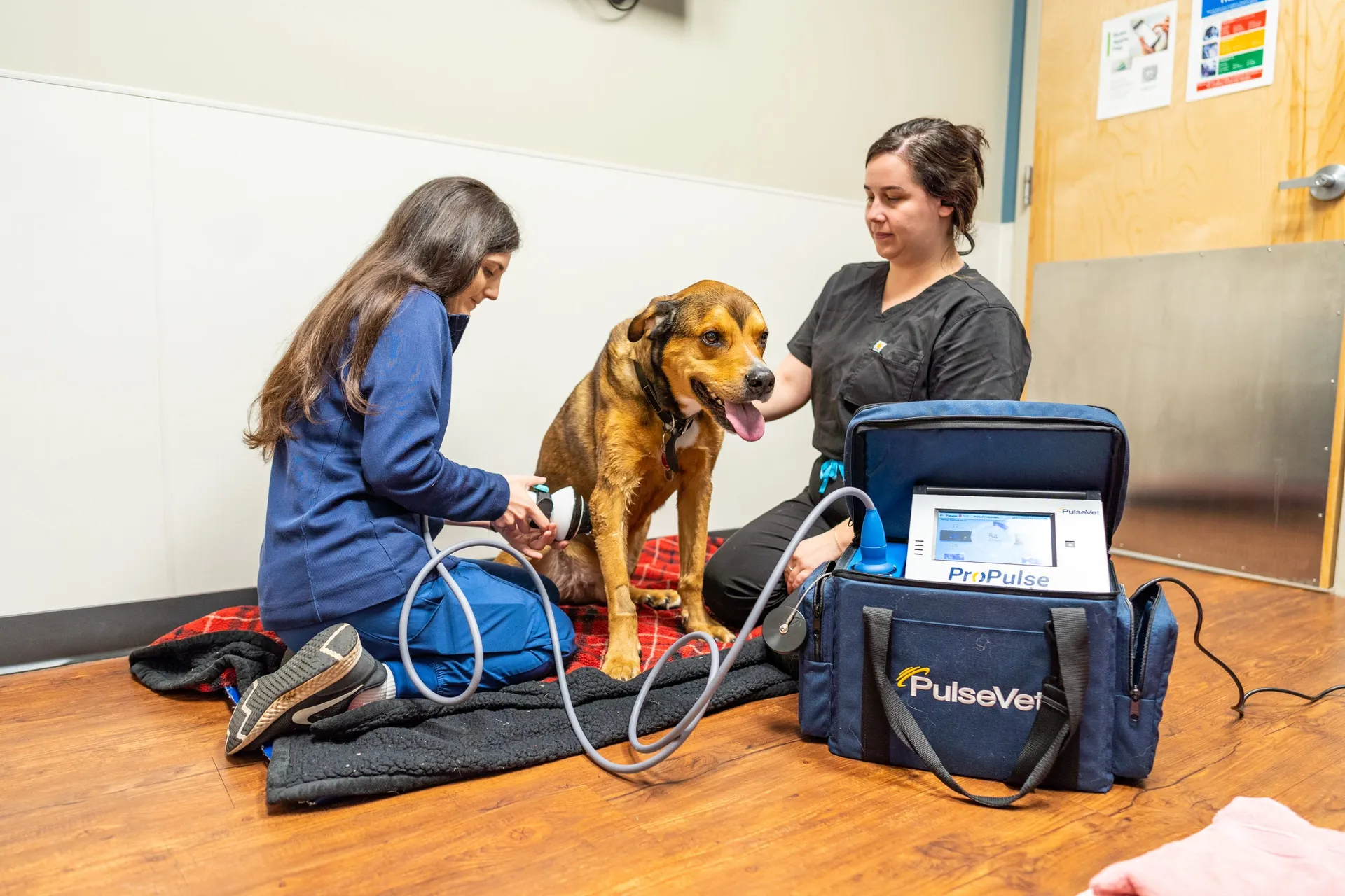 Emergency & Urgent Veterinary Care Group in Apex, NC