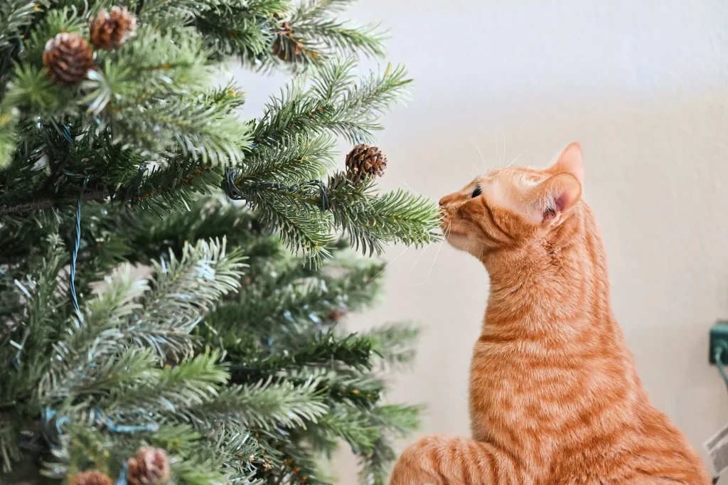 cat sniffing an artificial Christmas tree
