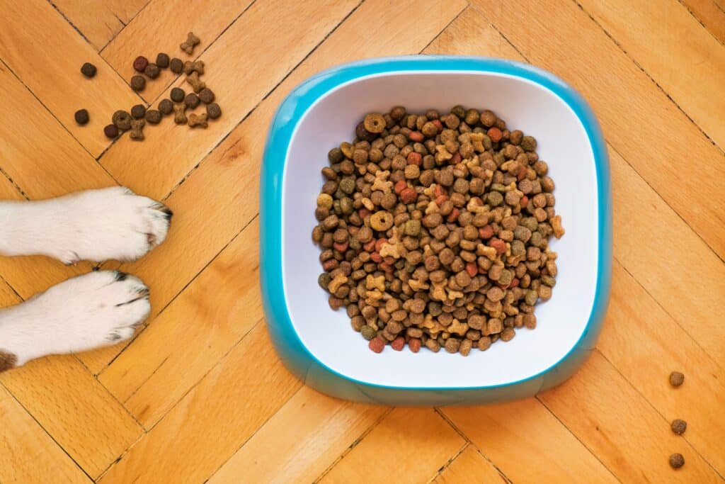 Help Feed Our Neighbors: Peak Paws Is Hosting a Food Drive